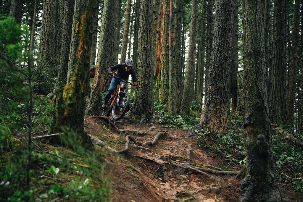 Cyclists exploring forests and peaks